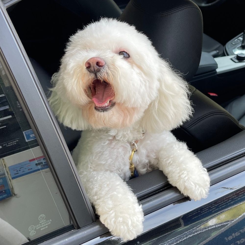 Meet your Posher, Frank